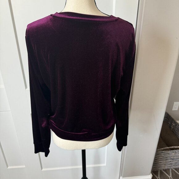 Modcloth Touch and Go Velour Velvet Pullover Sweatshirt in Purple Size Large - Picture 3 of 4